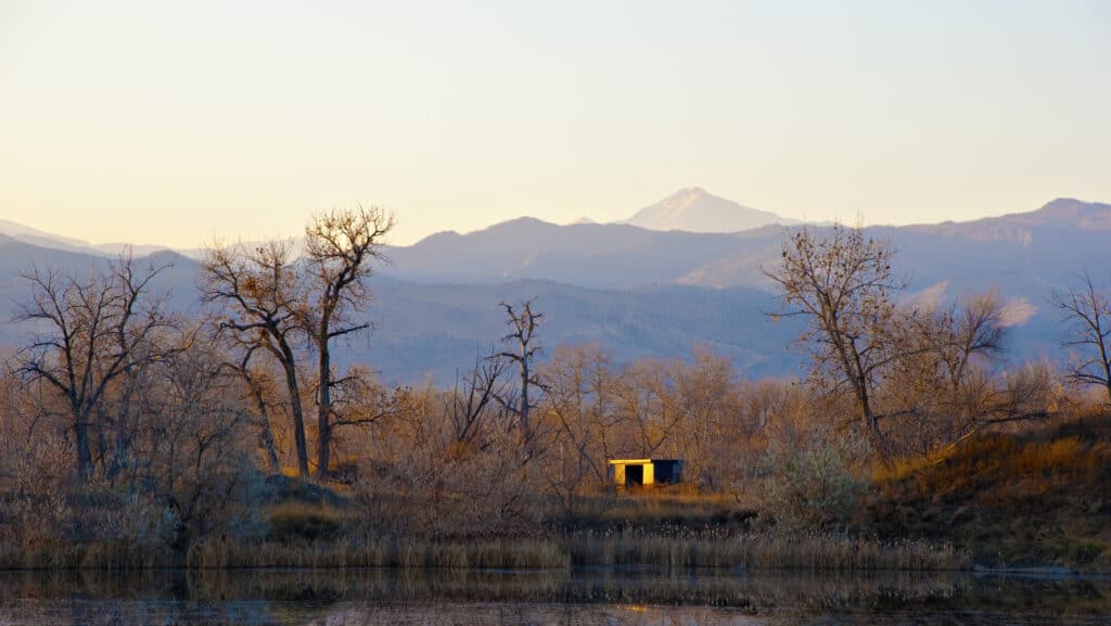 Cieco dell'anatra di Colorado