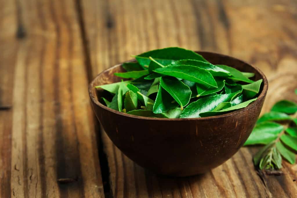 foglia di curry