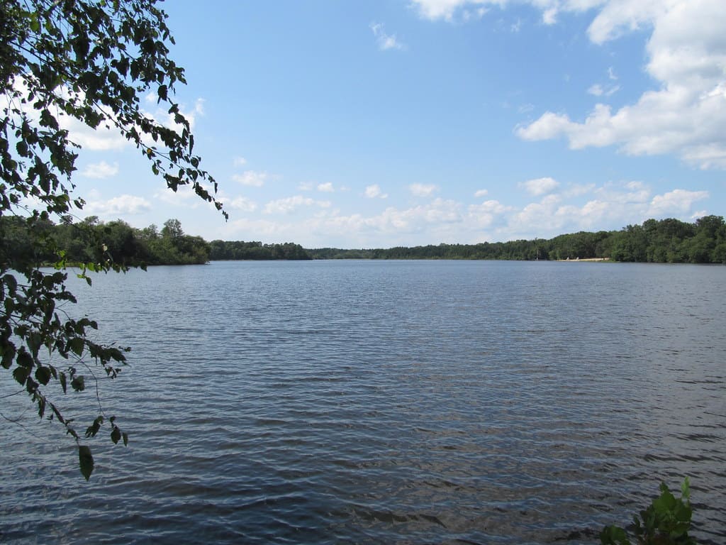 Parvin State Park nel New Jersey