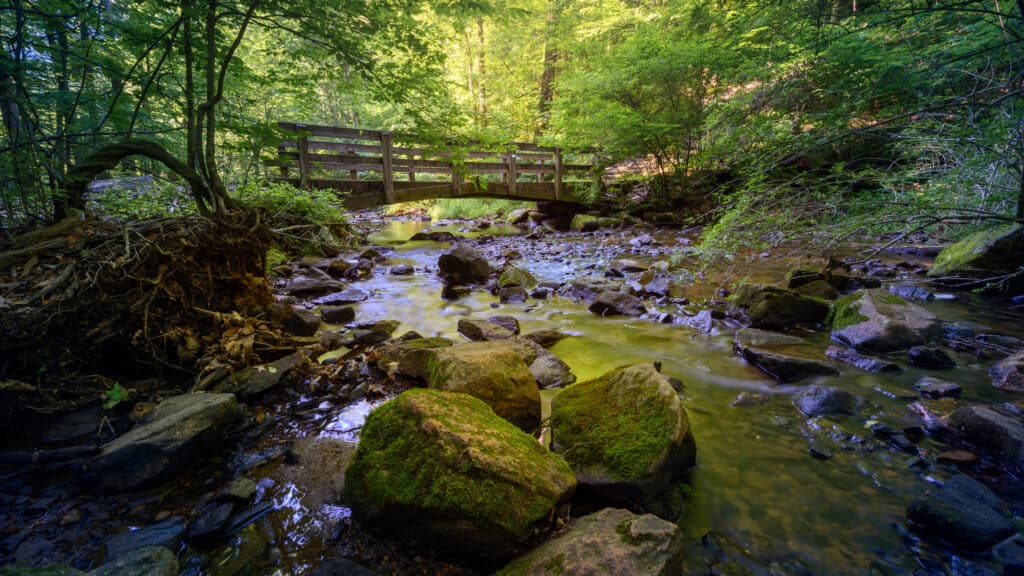 Hacklebarney State Park nel New Jersey