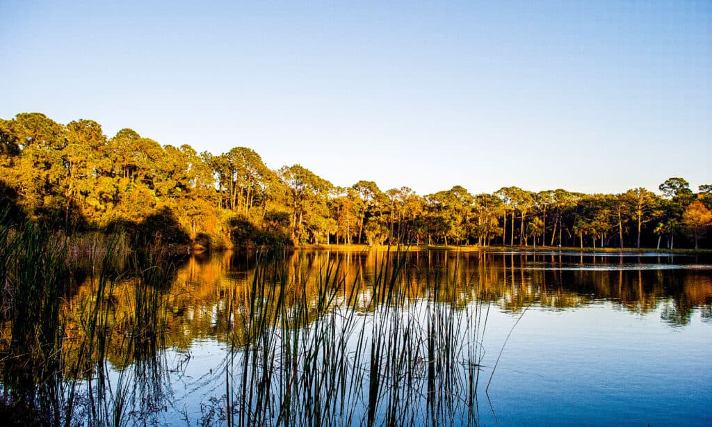 Lago Seminole