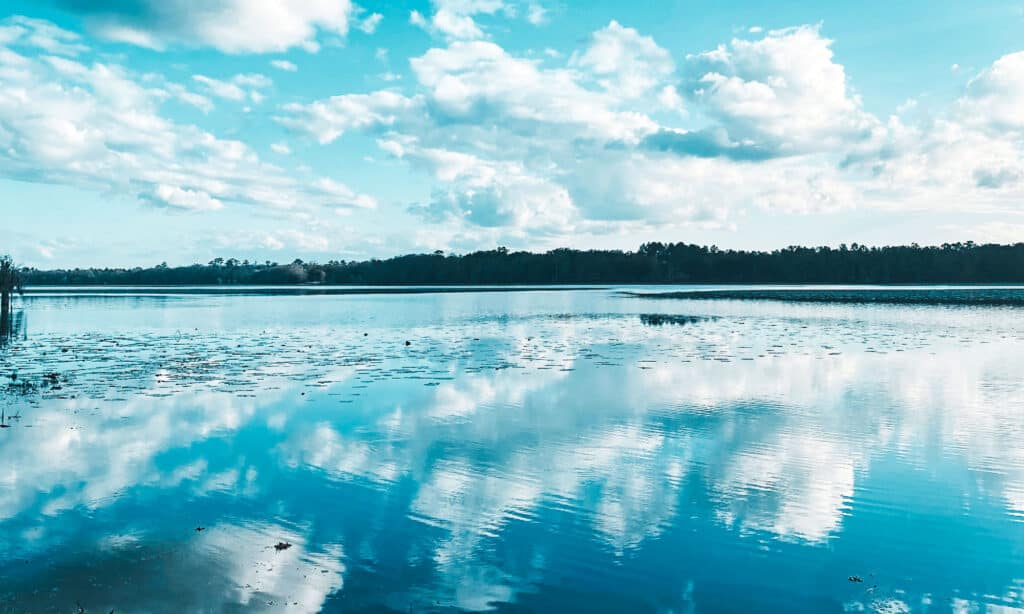 Lago Iamonia, Florida