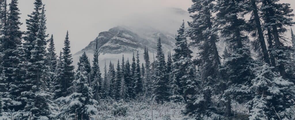 Neve nel Montana