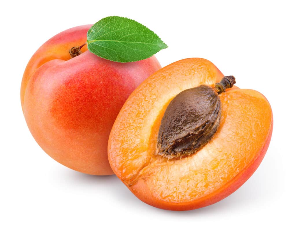 Albicocche fresche su uno sfondo bianco