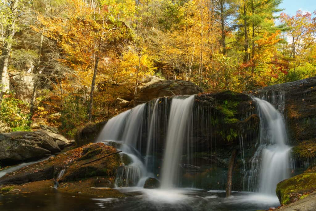 Foresta Nazionale Cherokee