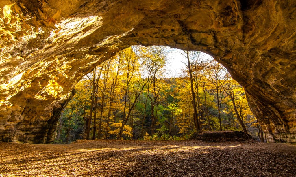 Starved Rock State Park, Avventura, Architettura, Autunno, Colore foglia d'autunno