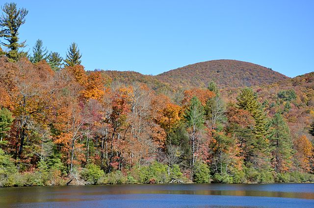Autunno a colori nella foresta nazionale di Chattahoochee