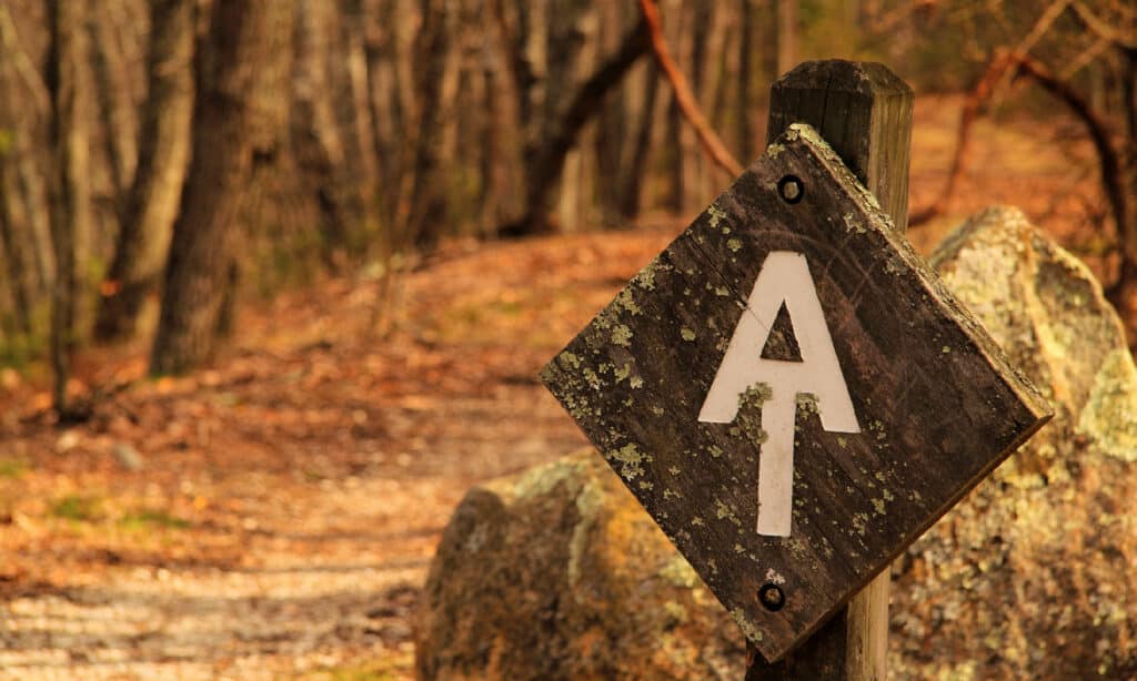 Appalachian Trail, Escursionismo, Virginia - Stato USA, Blue Ridge Mountains, Blu