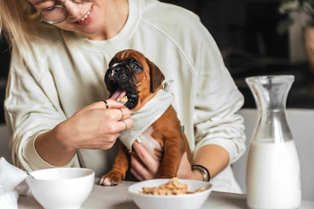 Donna e cane che mangiano colazione al tavolo