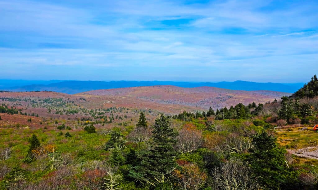 Monte Roger Virginia