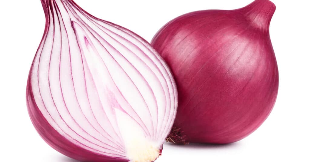 Le cipolle sono velenose - Cipolla