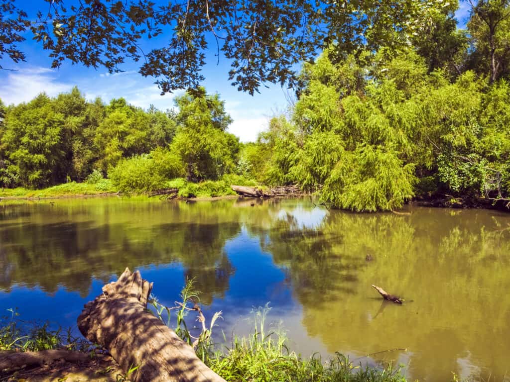 Lago Clinton