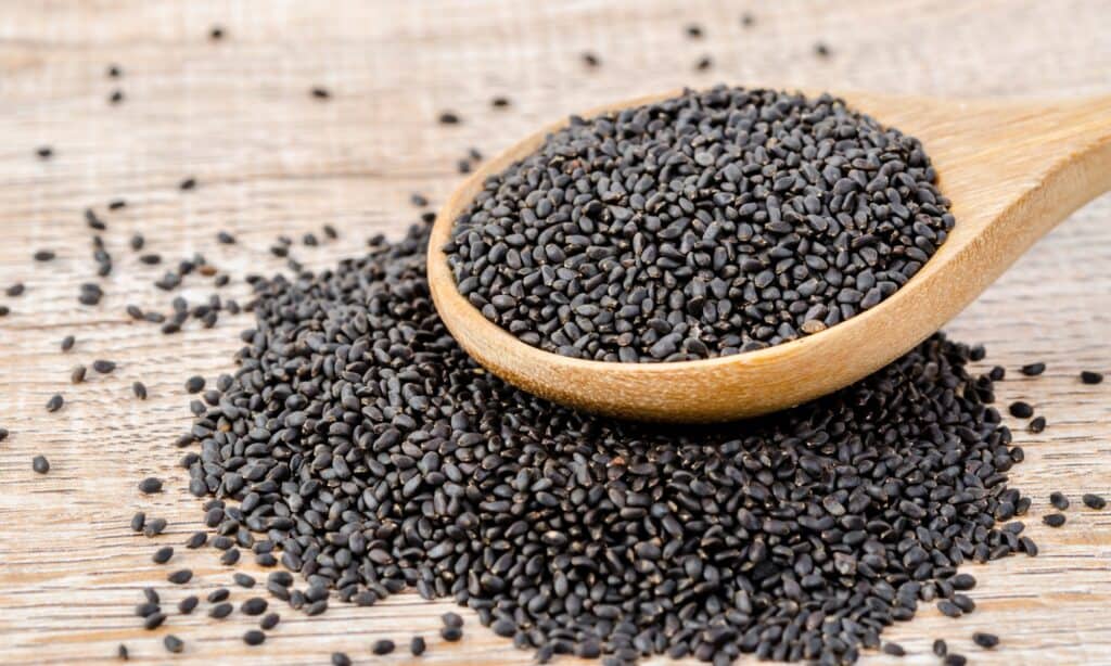 Semi di Basilico vs Semi di Chia