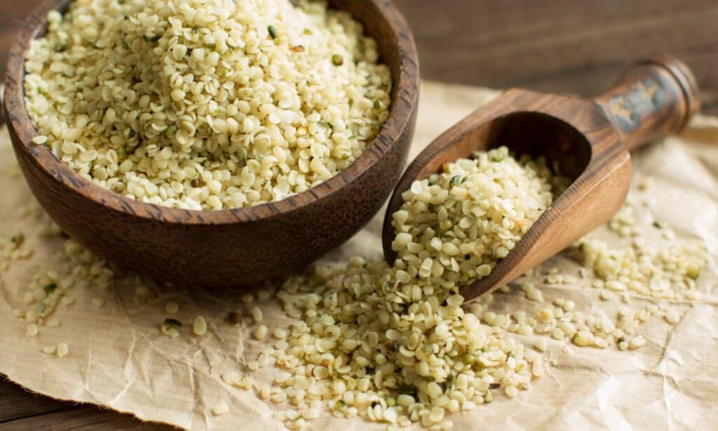 Semi di Canapa vs Semi di Chia