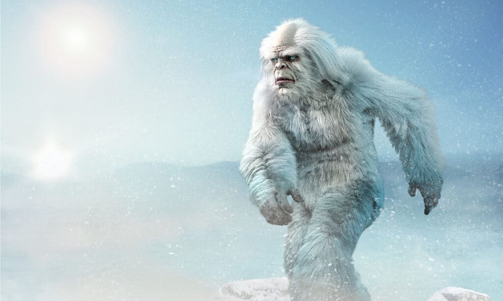 Yeti - alias abominevole pupazzo di neve