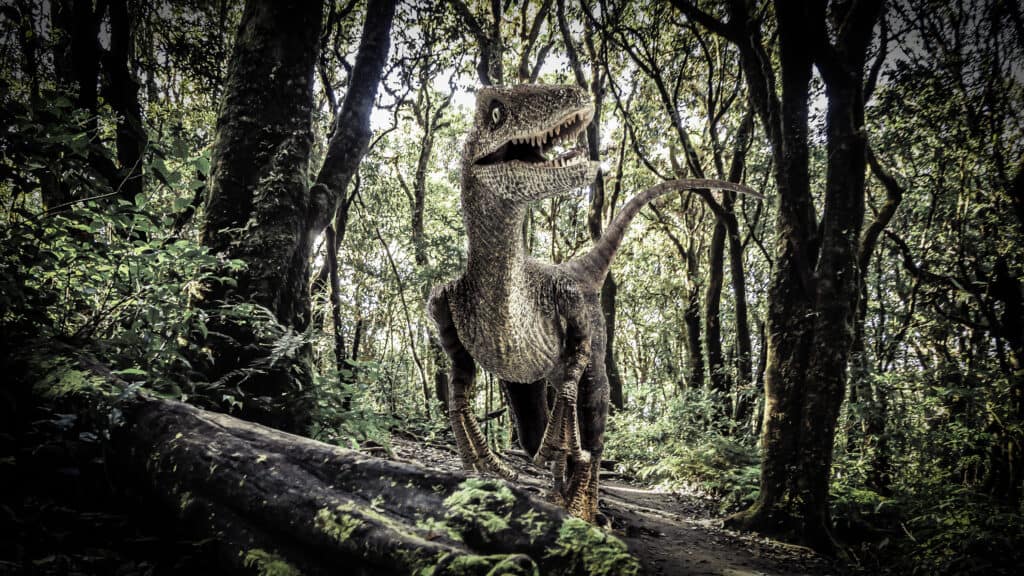 Velociraptor