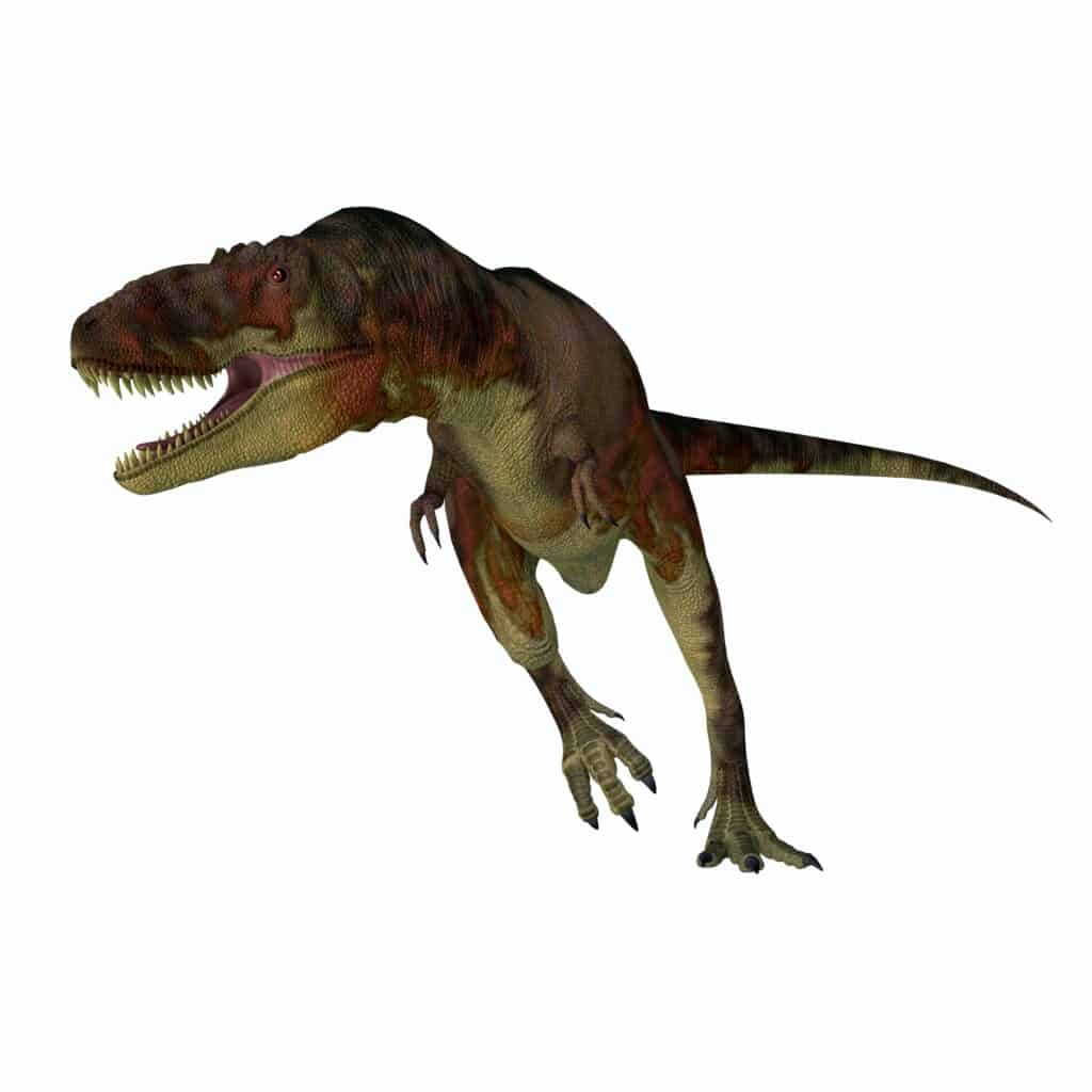 Daspletosaurus torosus
