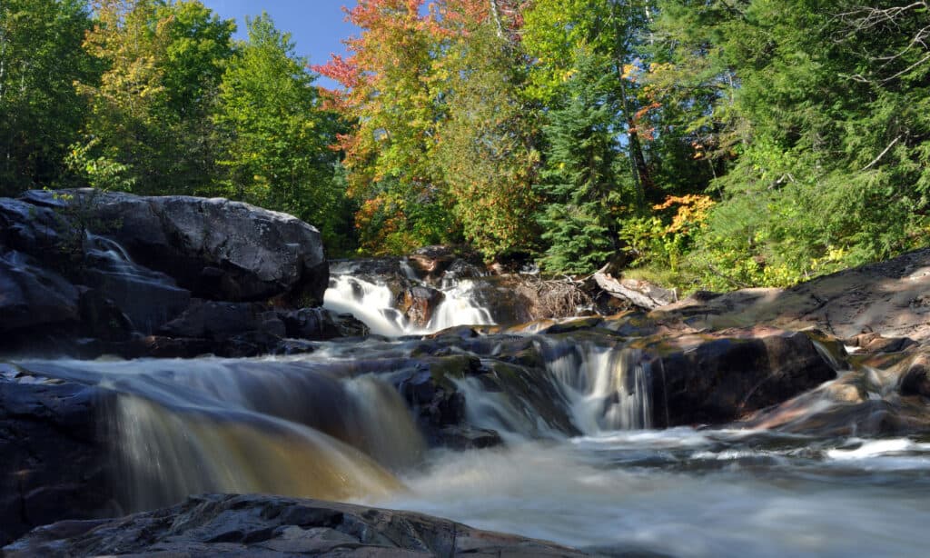 Il fiume del cane giallo cade Michigan
