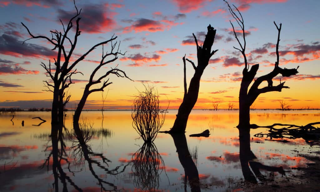 Menindee laghi australiani
