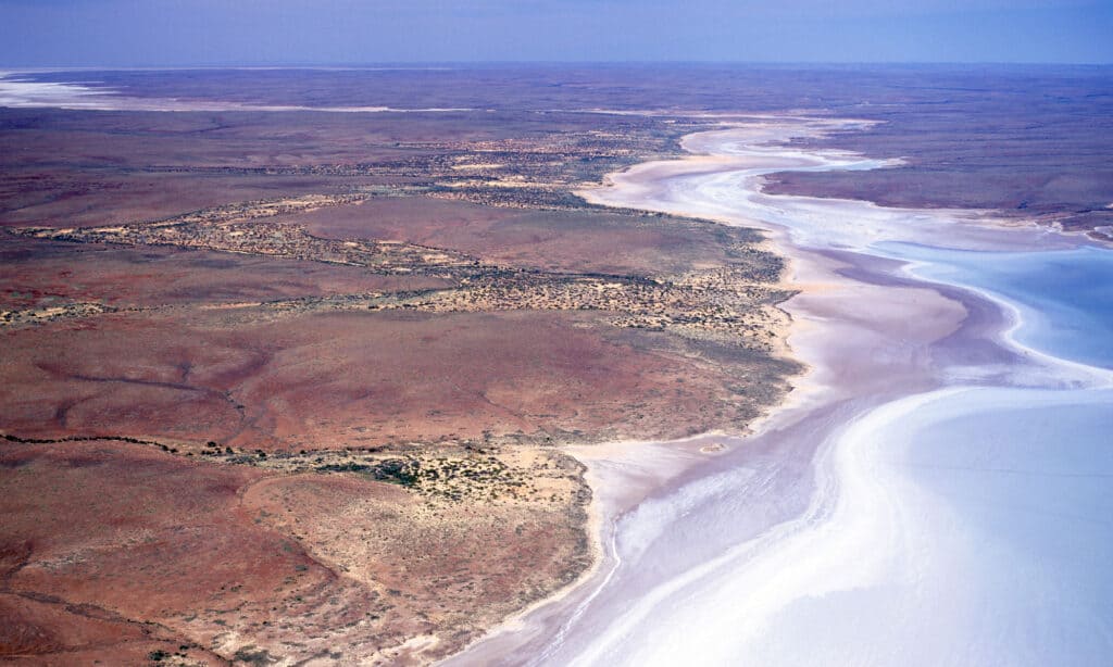 Lago Torrens Australia