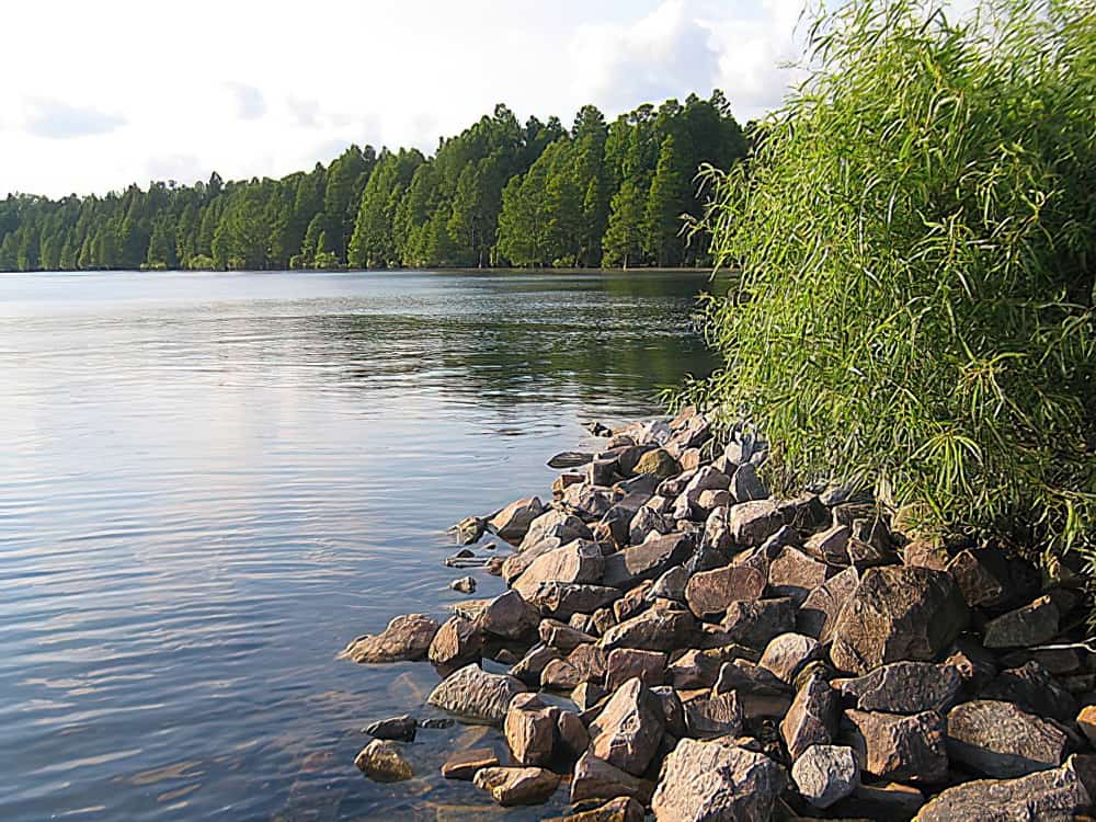 Lago Phelps