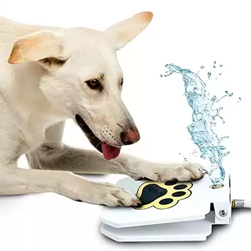 Trio Gato Dog Fontana per cani all'aperto calpestabile