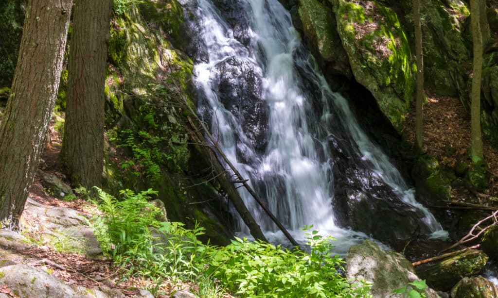 Il latticello cade nel Connecticut