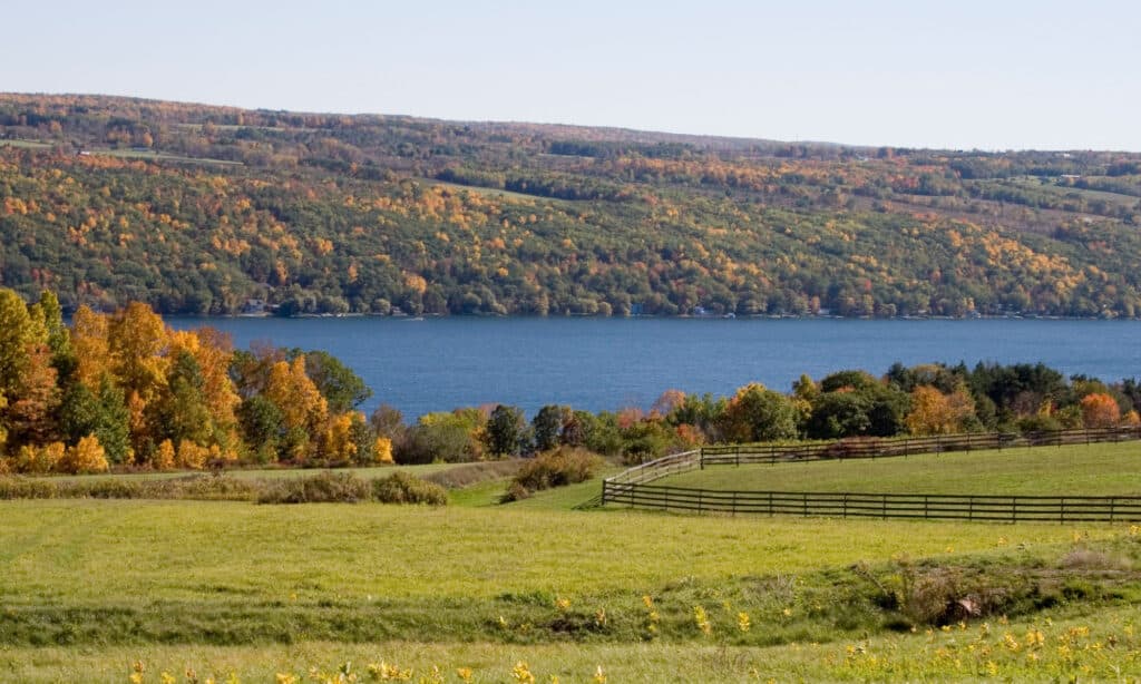 Lago Keuka