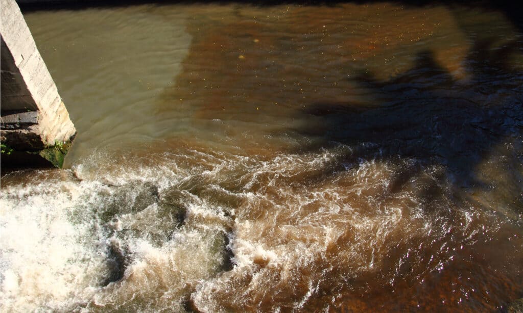 Fiume Sarno