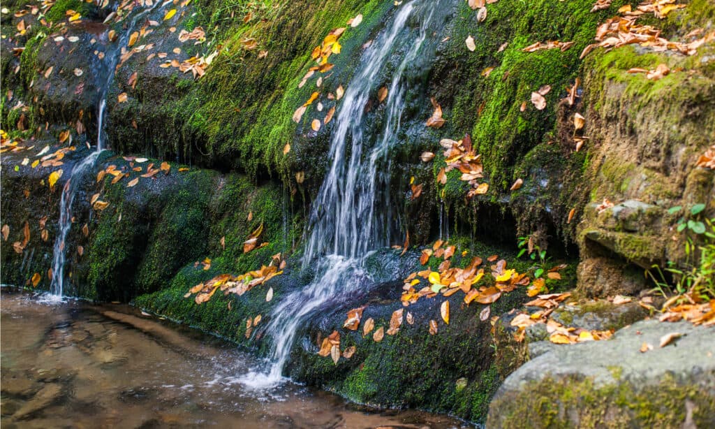 Cascate dell'insenatura di Dunnfield