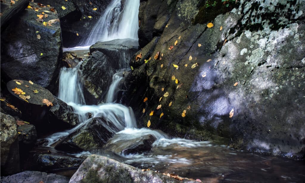Cascata del parco statale di Hacklebarney