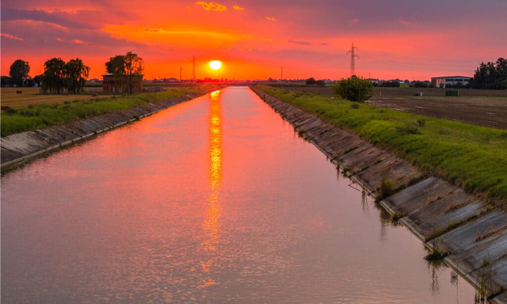 Canale