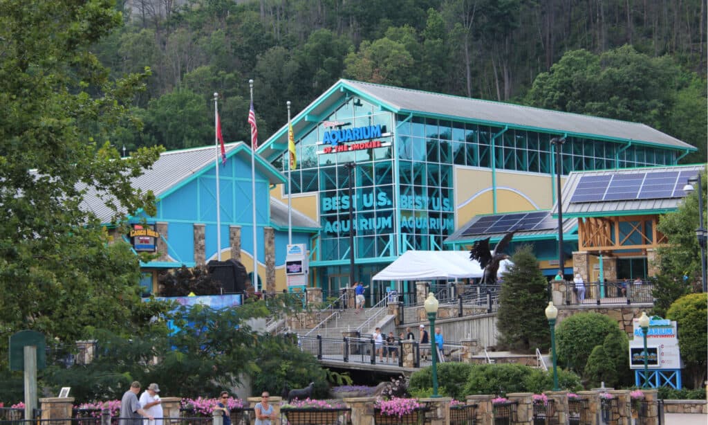 Acquario di Ripley negli Smokies
