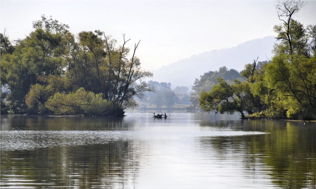 I fiumi più lunghi della Carolina del Nord: il fiume Hiwassee 