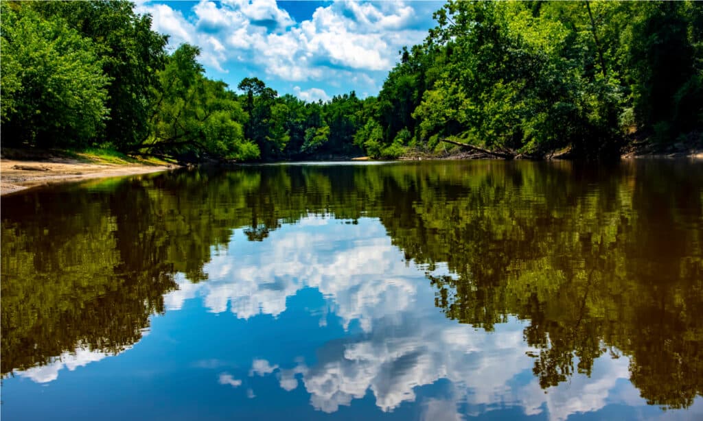 I fiumi più lunghi della Carolina del Nord - Tar River 