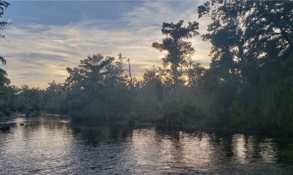 fiume chipola