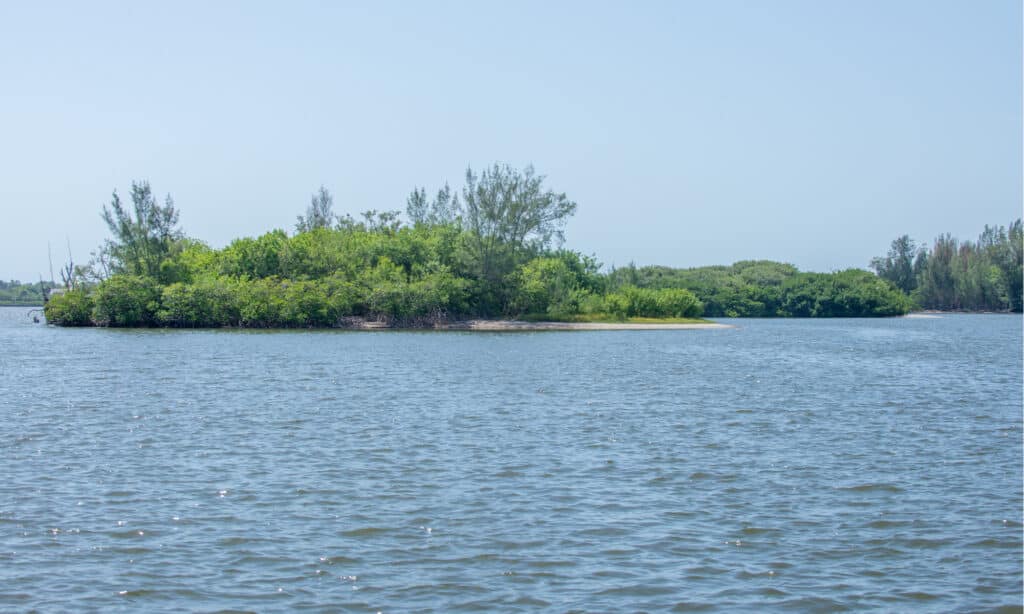 laguna del fiume indiano