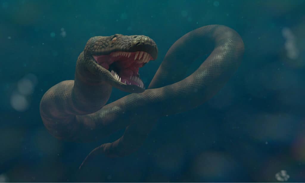 Titanoboa contro Megalodonte 