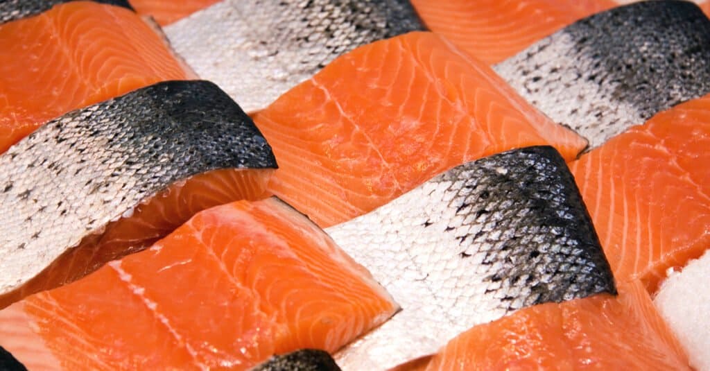 Trota vs Salmone - Filetti