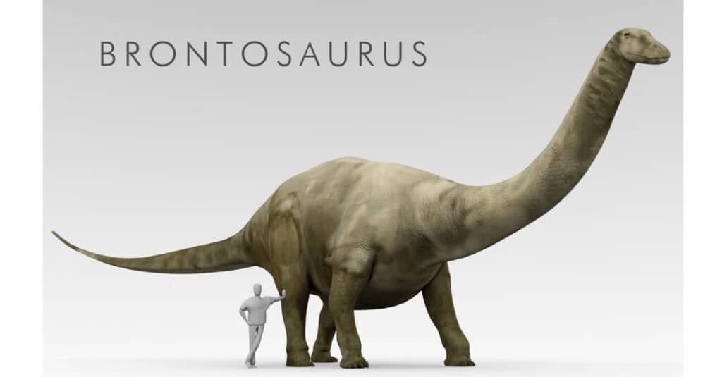 apatosauro vs brontosauro