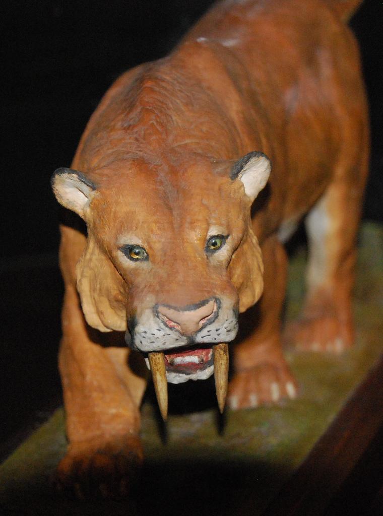 Tigre dai denti a sciabola
