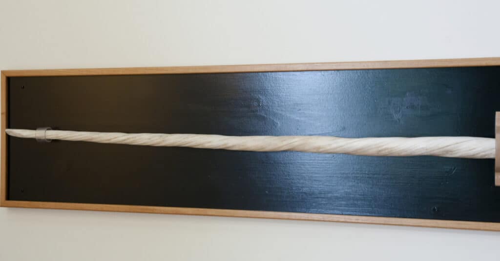Narwhal Facts - Una zanna di Narwhal montata in un museo