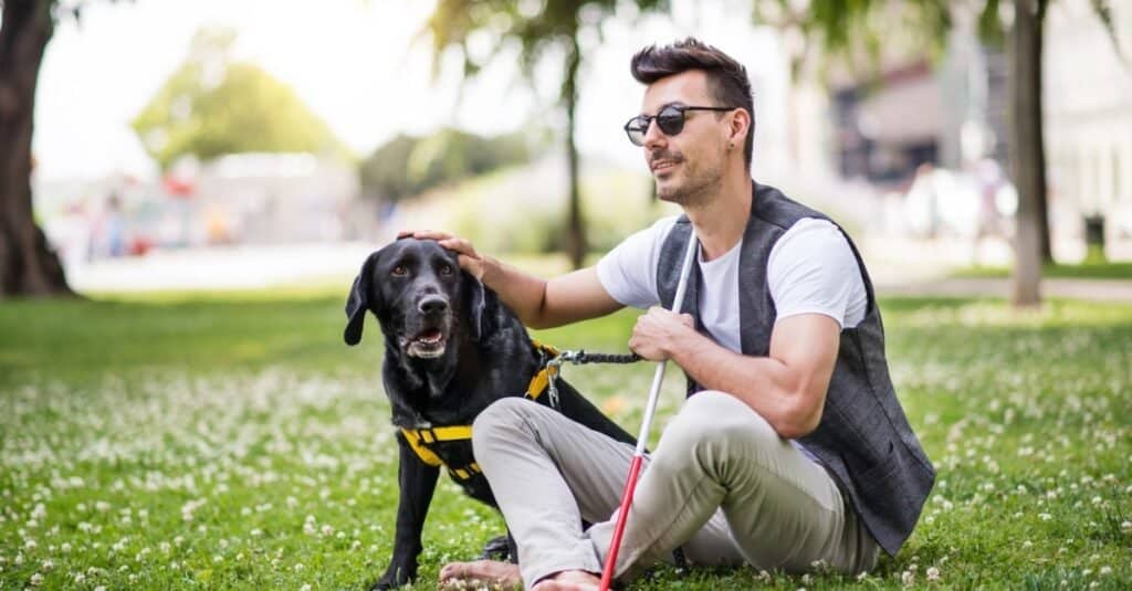Animali che usano il sonar umano