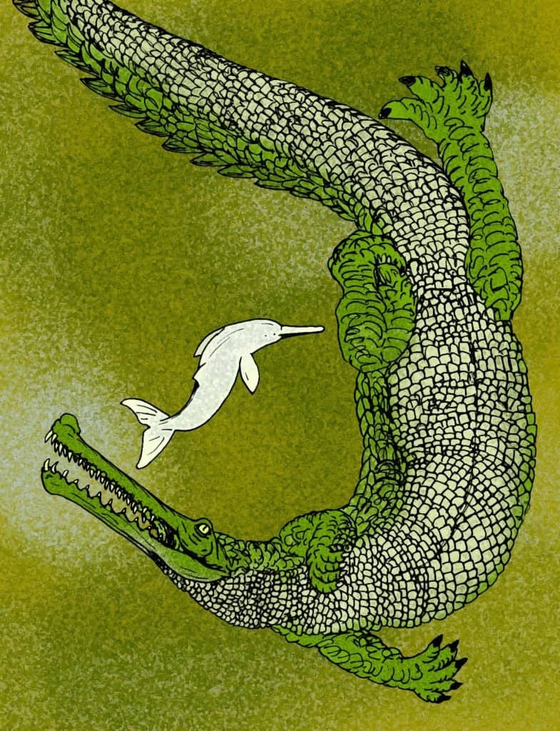 I più grandi coccodrilli di sempre: Rhamphosuchus