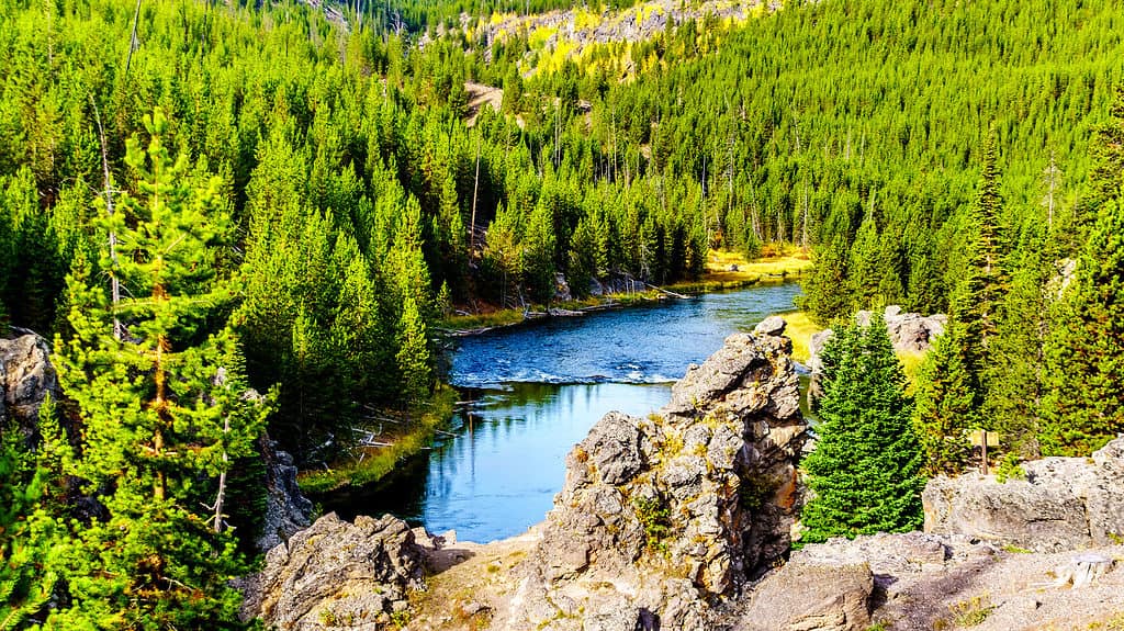 Fiume Firehole, Wyoming fori di nuoto