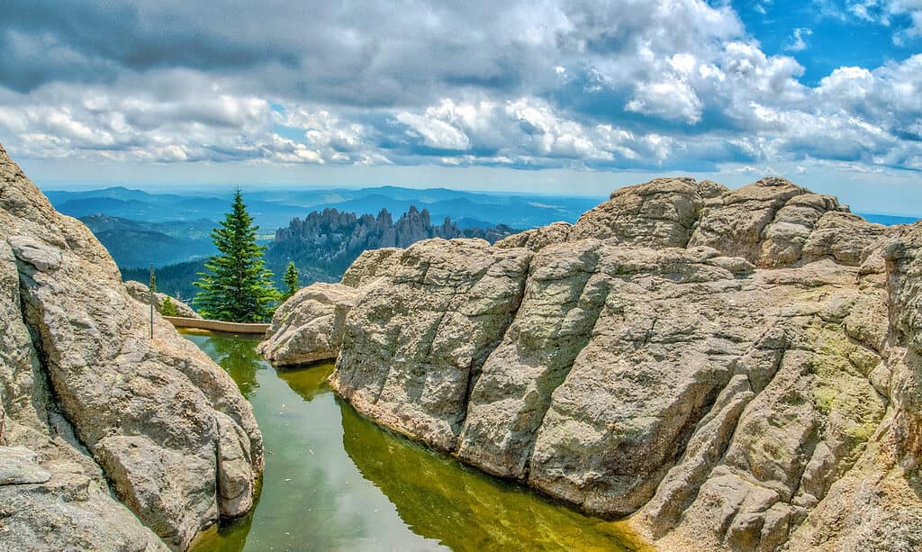 Picco dell'alce nero al Custer State Park