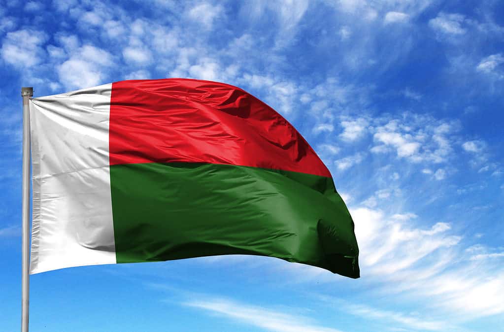 Bandiera del Madagascar