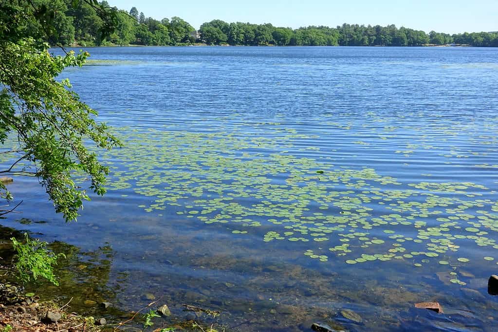 Lago mistico superiore