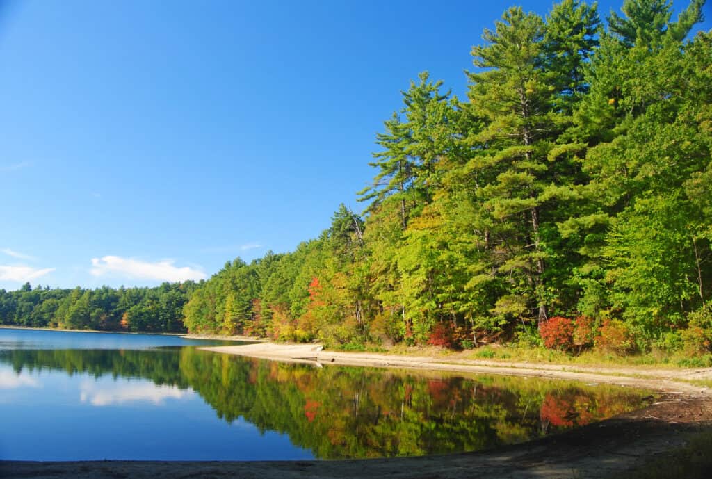 Walden Pond