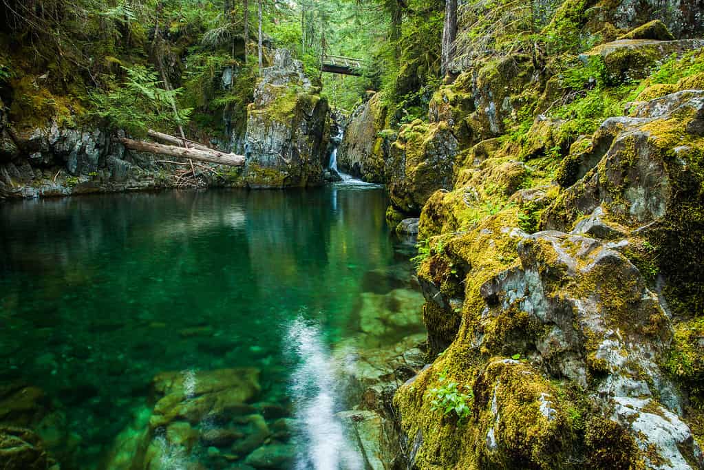 Opal Creek